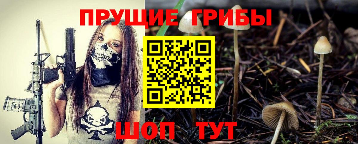 Галлюциногенные грибы GOLDEN TEACHER  Вход с VPN  Гай 
