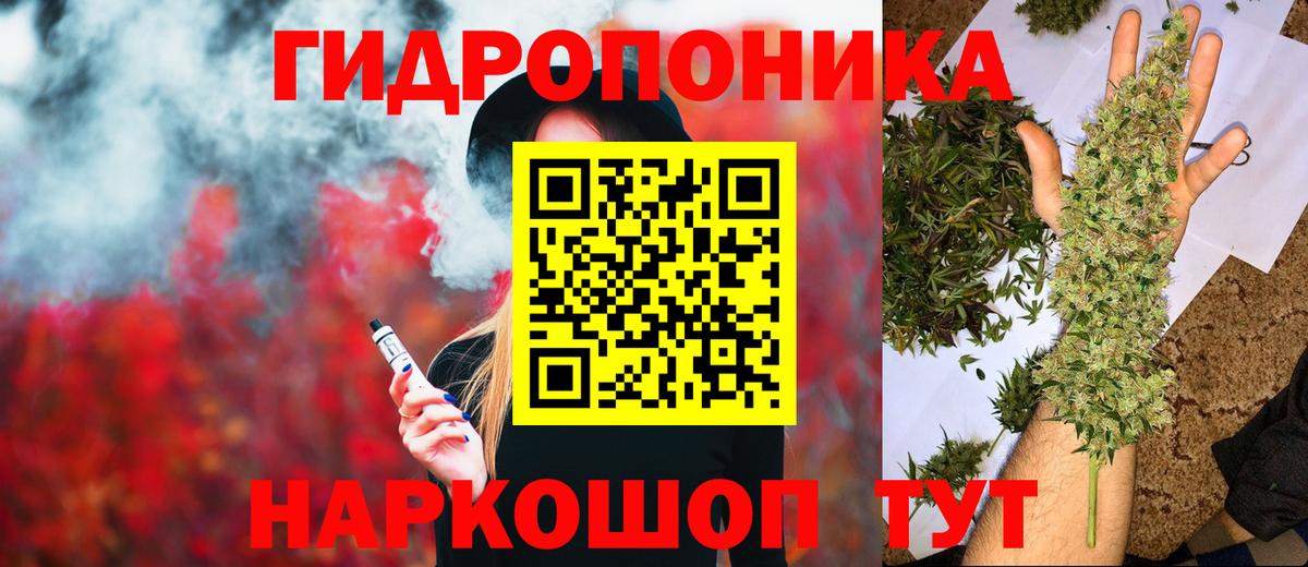 Бошки Шишки план  Вход с VPN  Гай  Шишки марихуана Ganja  Шишки марихуана ГИДРОПОН 